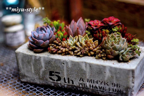 春に寄せ植えオーダーでお作りした**miyu-style** オリジナルセメント鉢