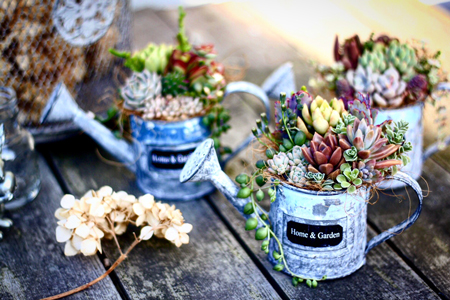 アトリエレッスン