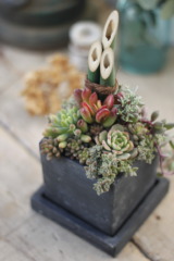 お正月アレンジ2